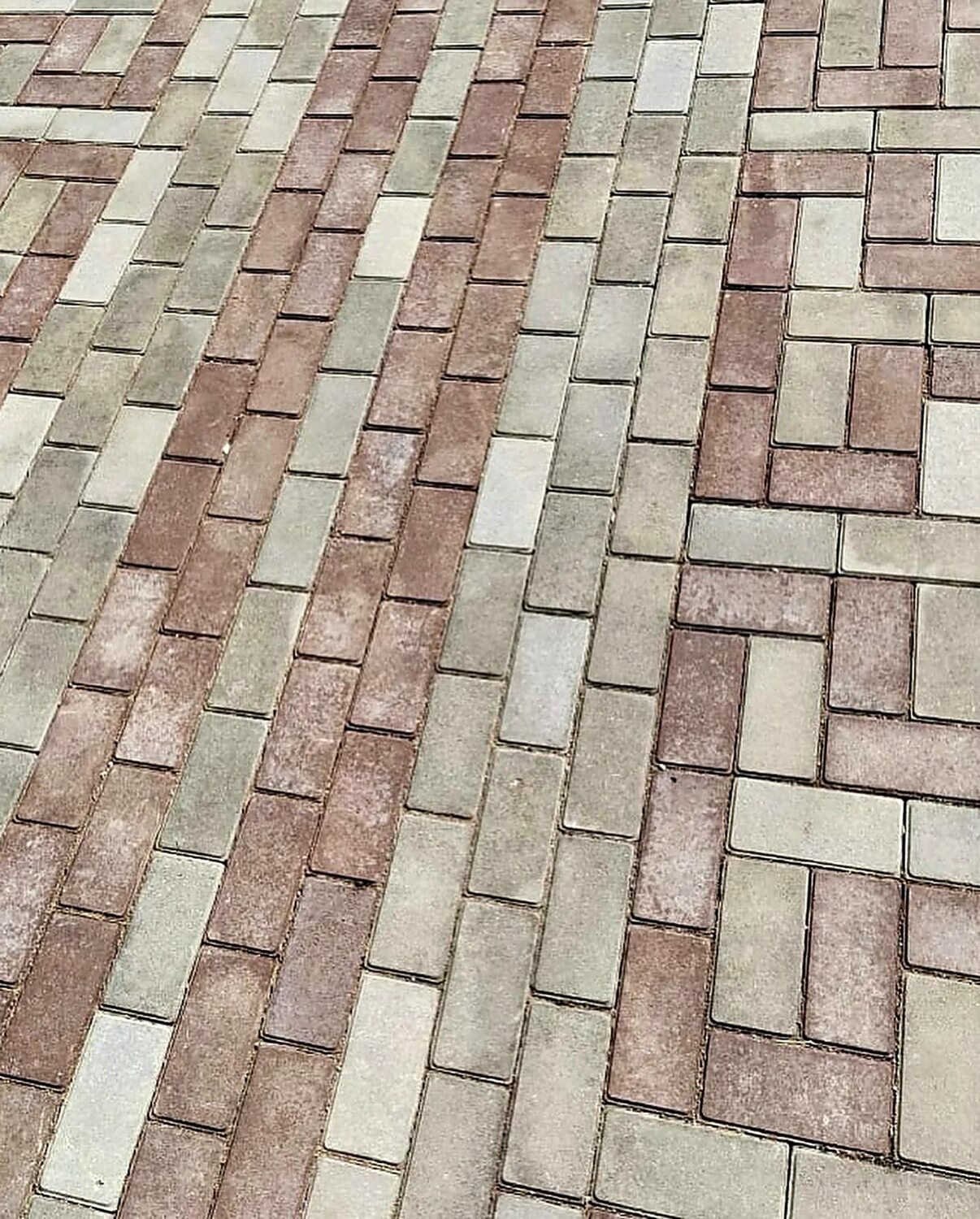 Дорожки среди деревьев