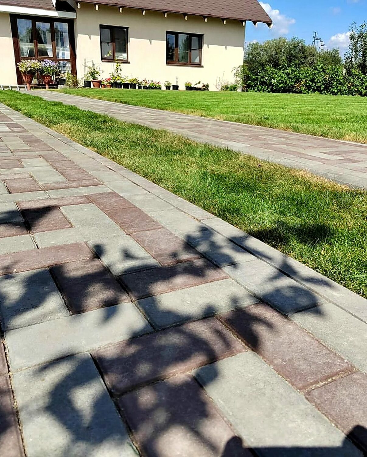 Дорожки среди деревьев, дополнительный ракурс 3